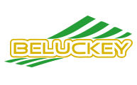 Company name
